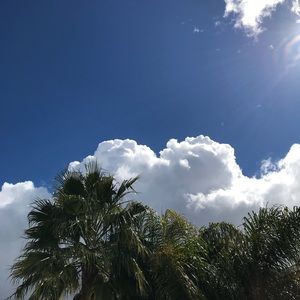 Meet your Posher, Destinee